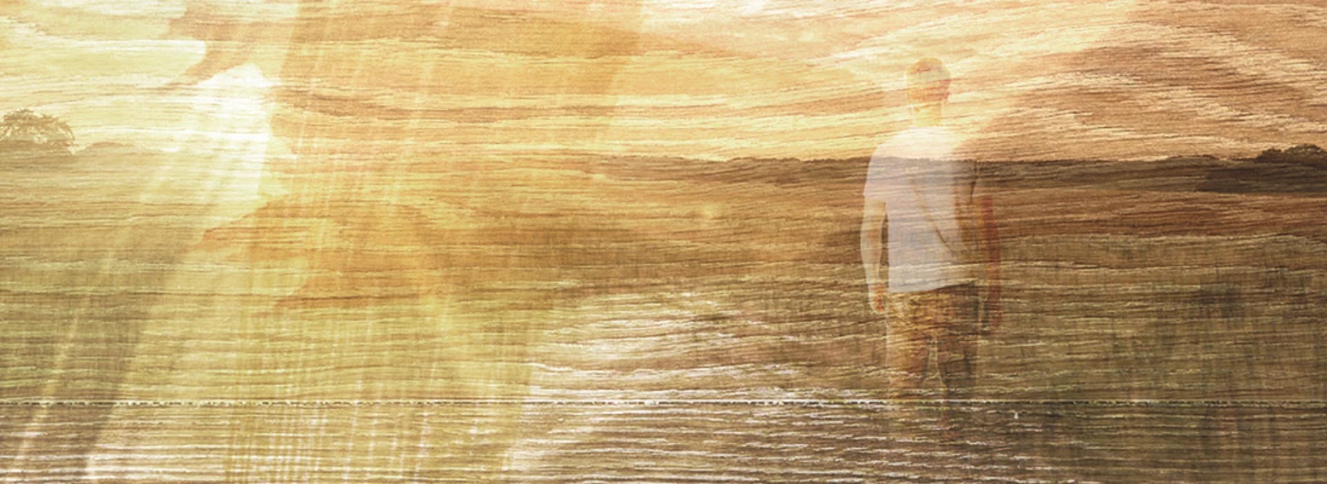 Oils cover image 1920x700.png