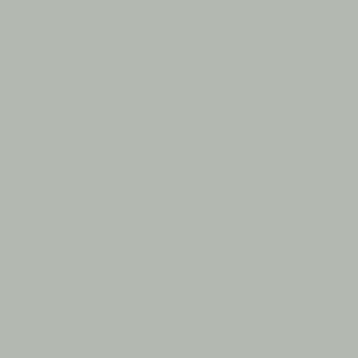 WarmPewter