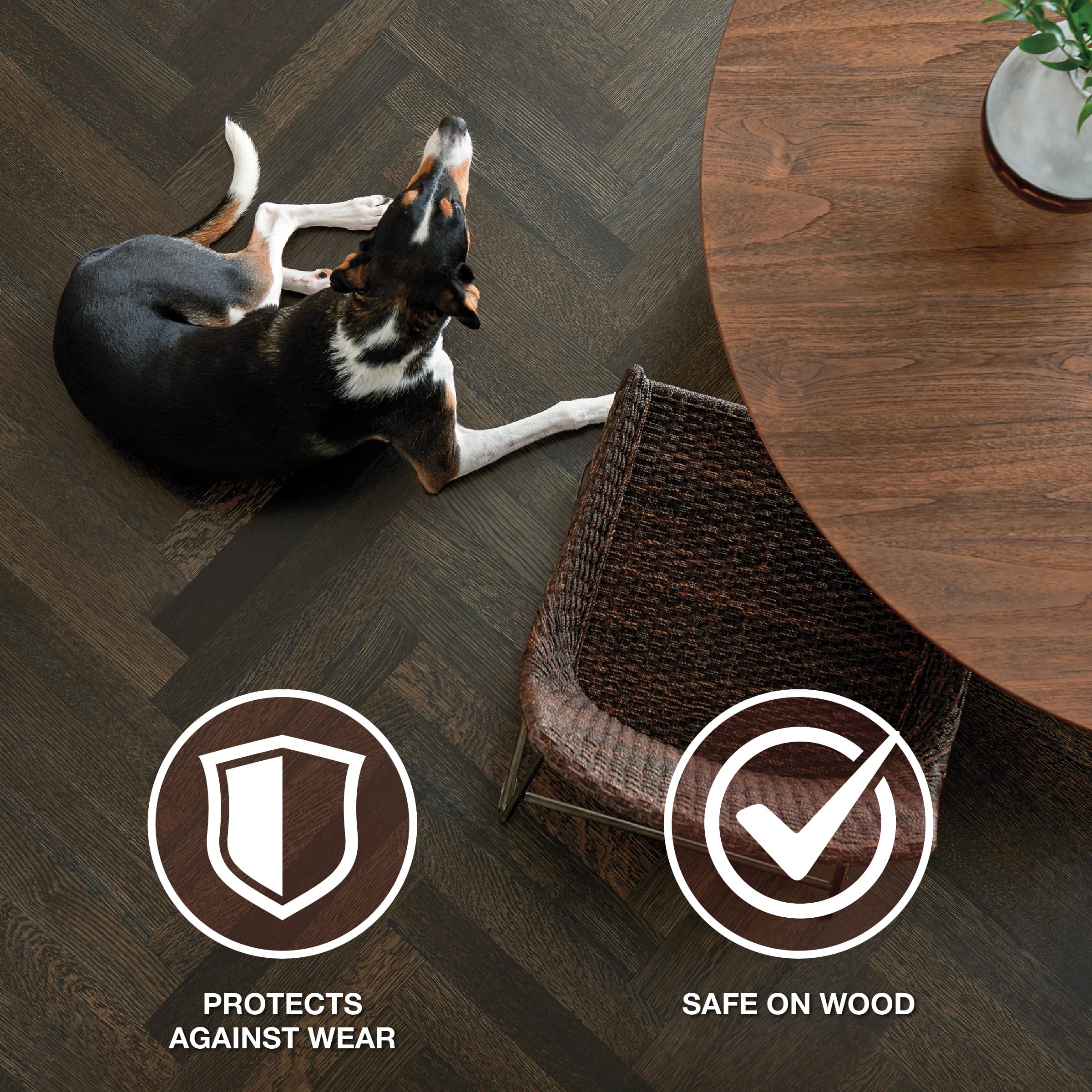 Wood Refresher-Carousel Added Protection-EMEA E