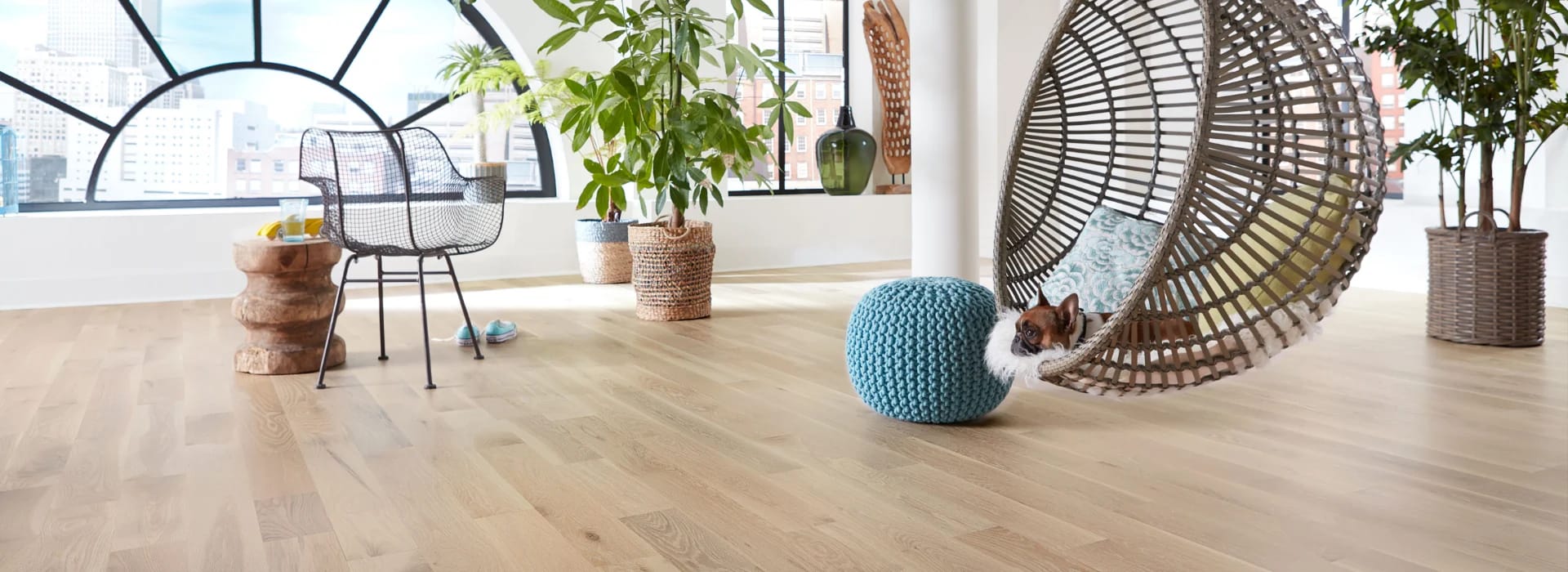 A loft-style apartment features a spotless, blonde hardwood floor. A wee dog is resting in a hanging wicker chair at right.