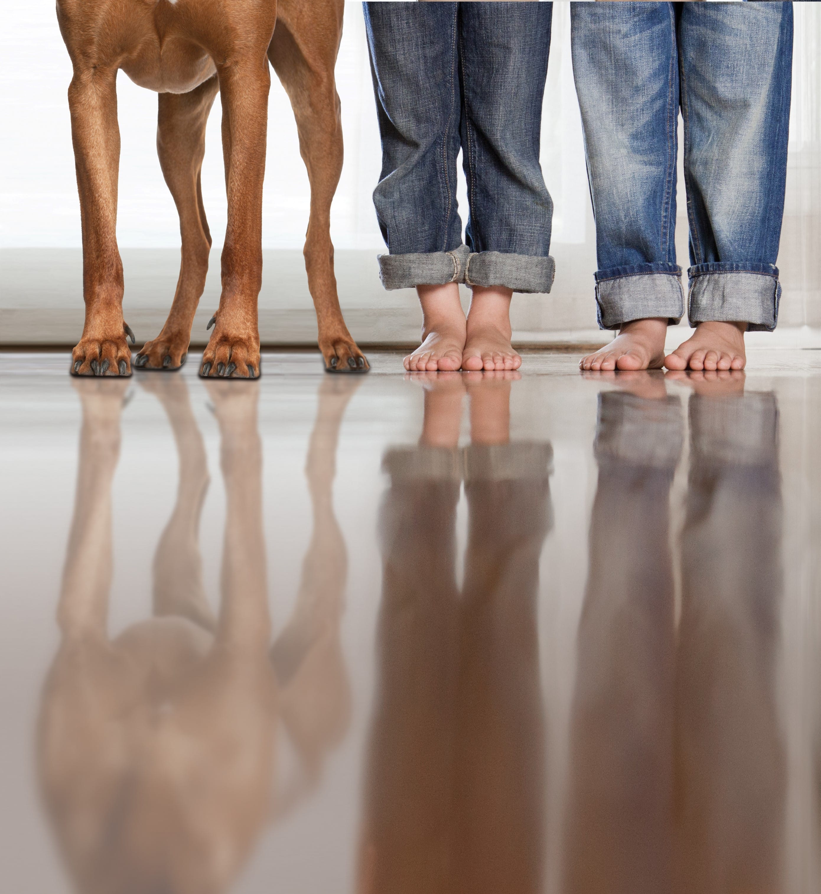 _MG_4768_adjusted_dog_v2.jpg