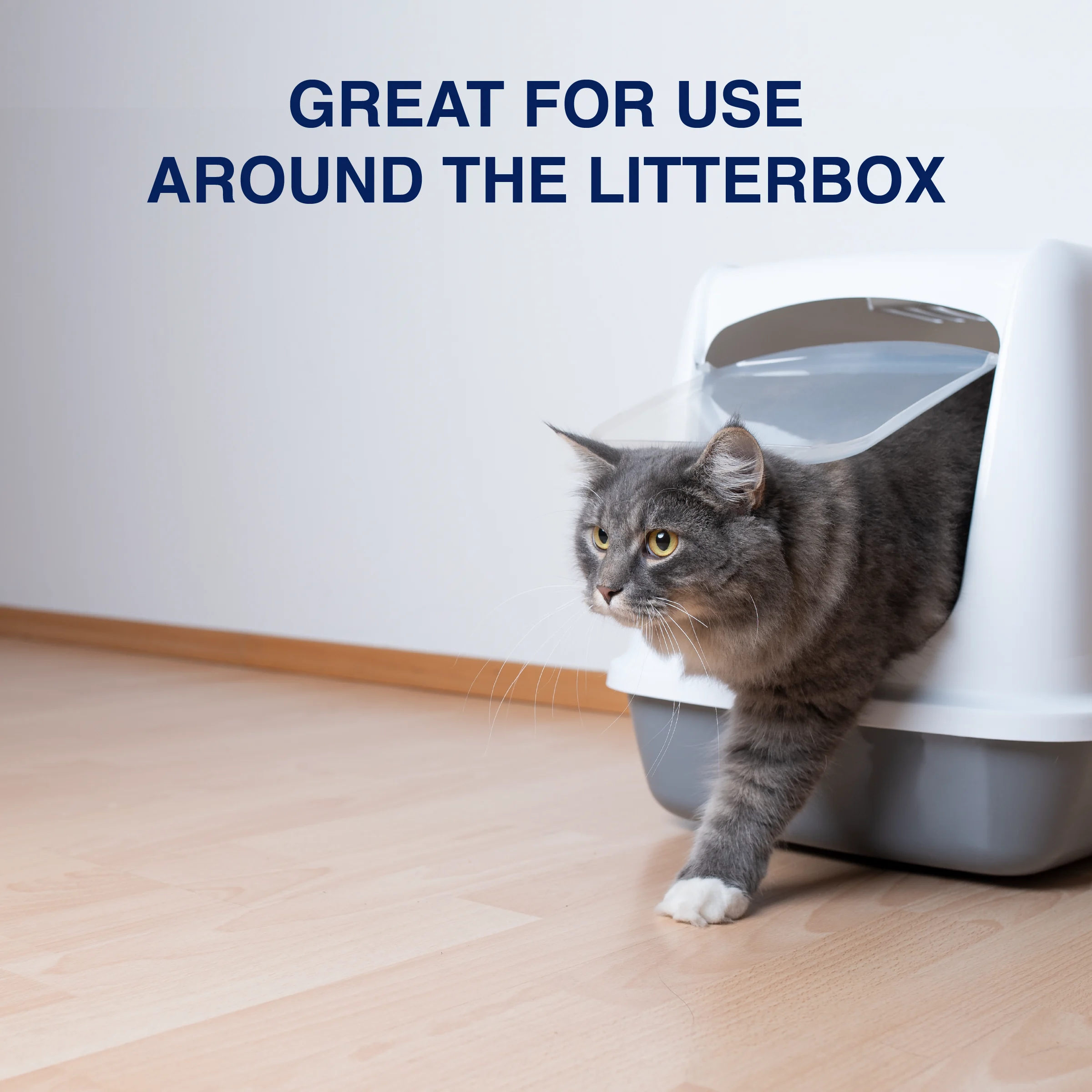 BonaPetSystem MSFloorEnz Pet Messes