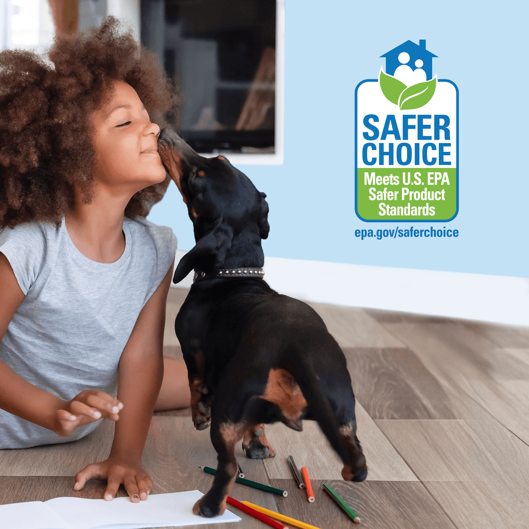 EN - Safer Choice Refill HW