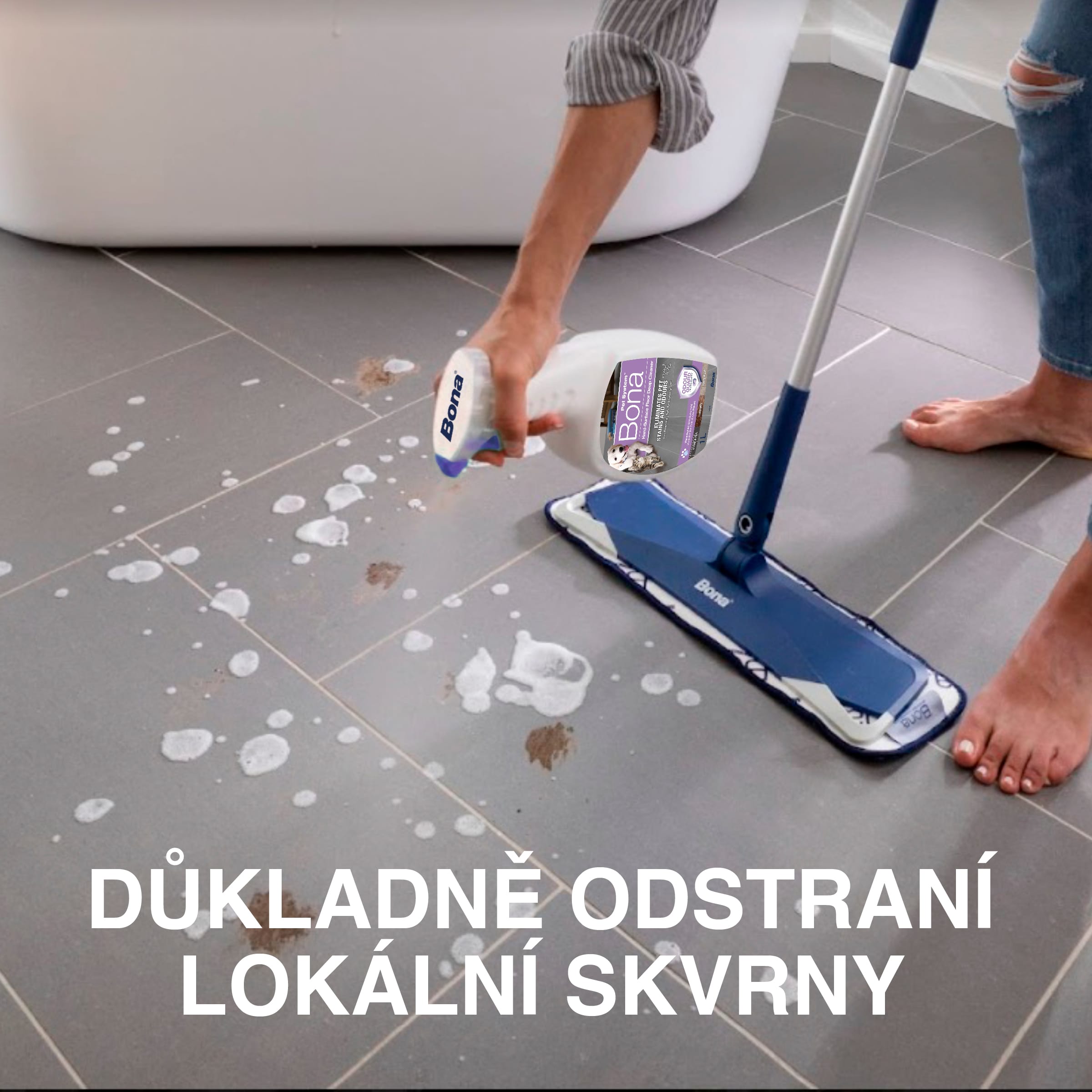 CZ_Carousel_PetSystem_trigger_HS_Cleanup Text
