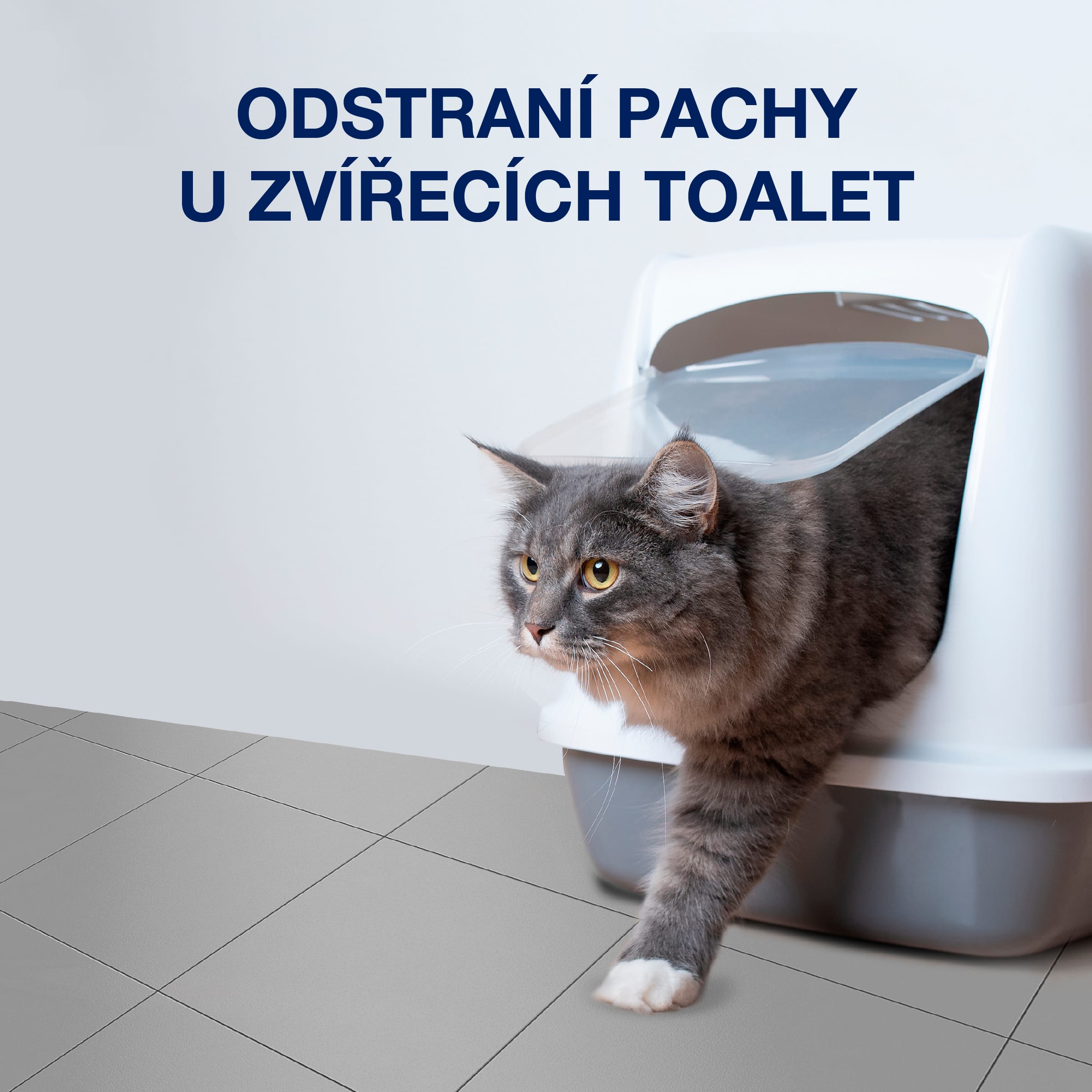 CZ_Carousel_PetSystem_trigger_HS_Litterbox Text