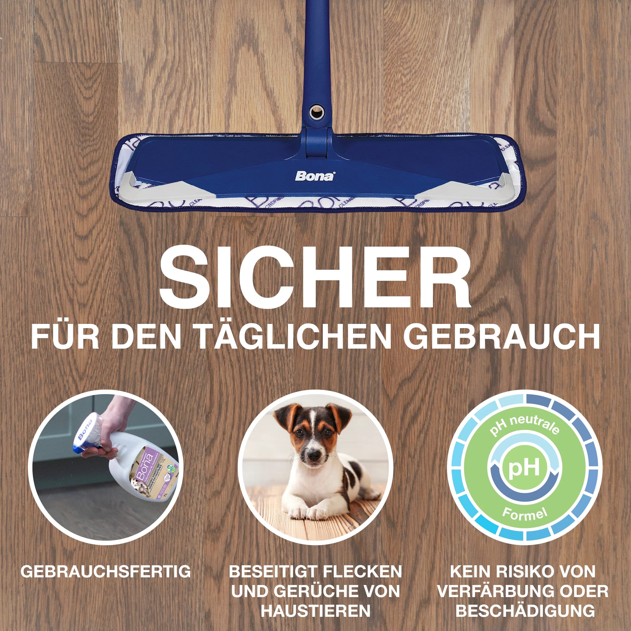 DE - Carousel_PetSystem_trigger_HW_Safe_EMEA D