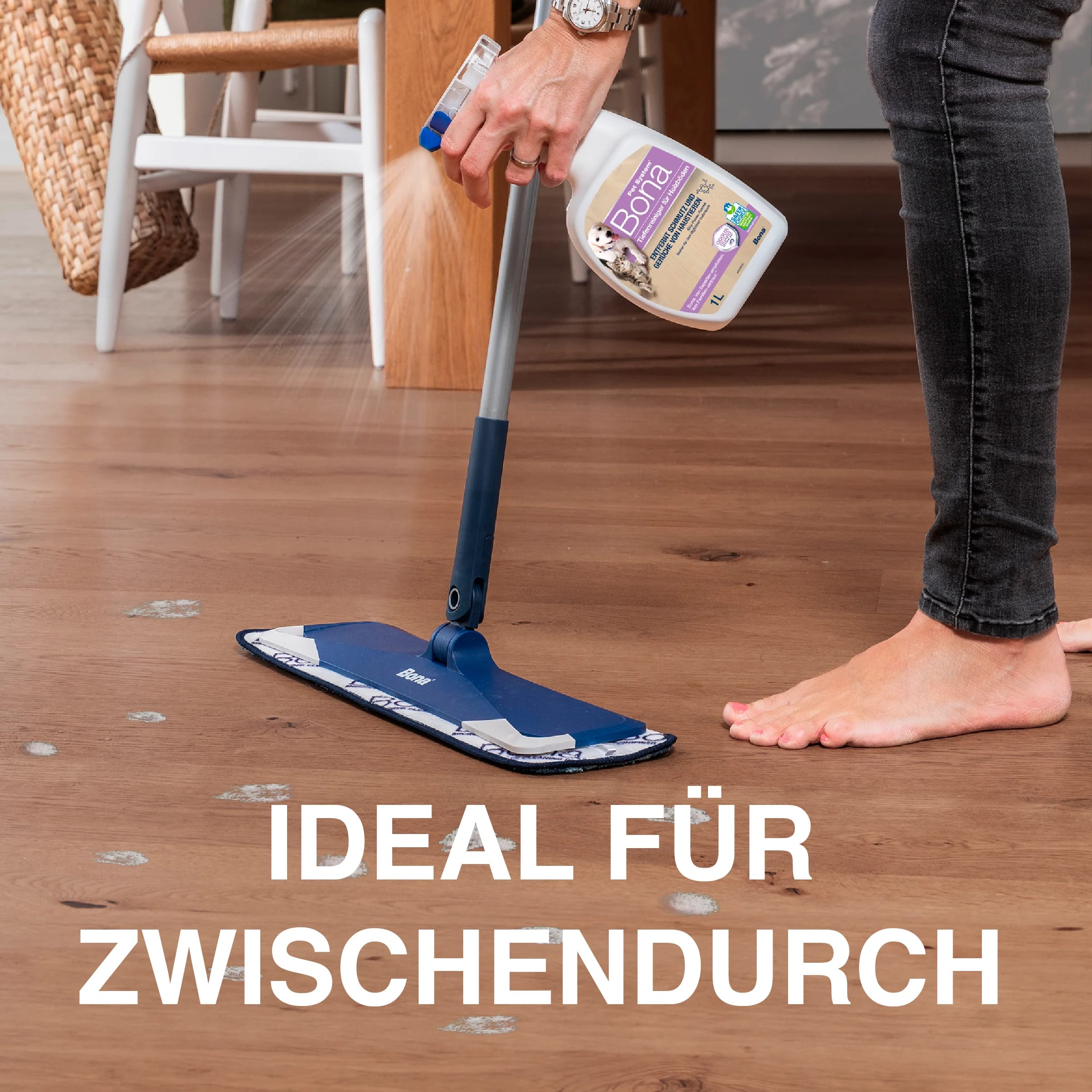 DE - Carousel_PetSystem_trigger_HW_Pet Messes_EMEA D