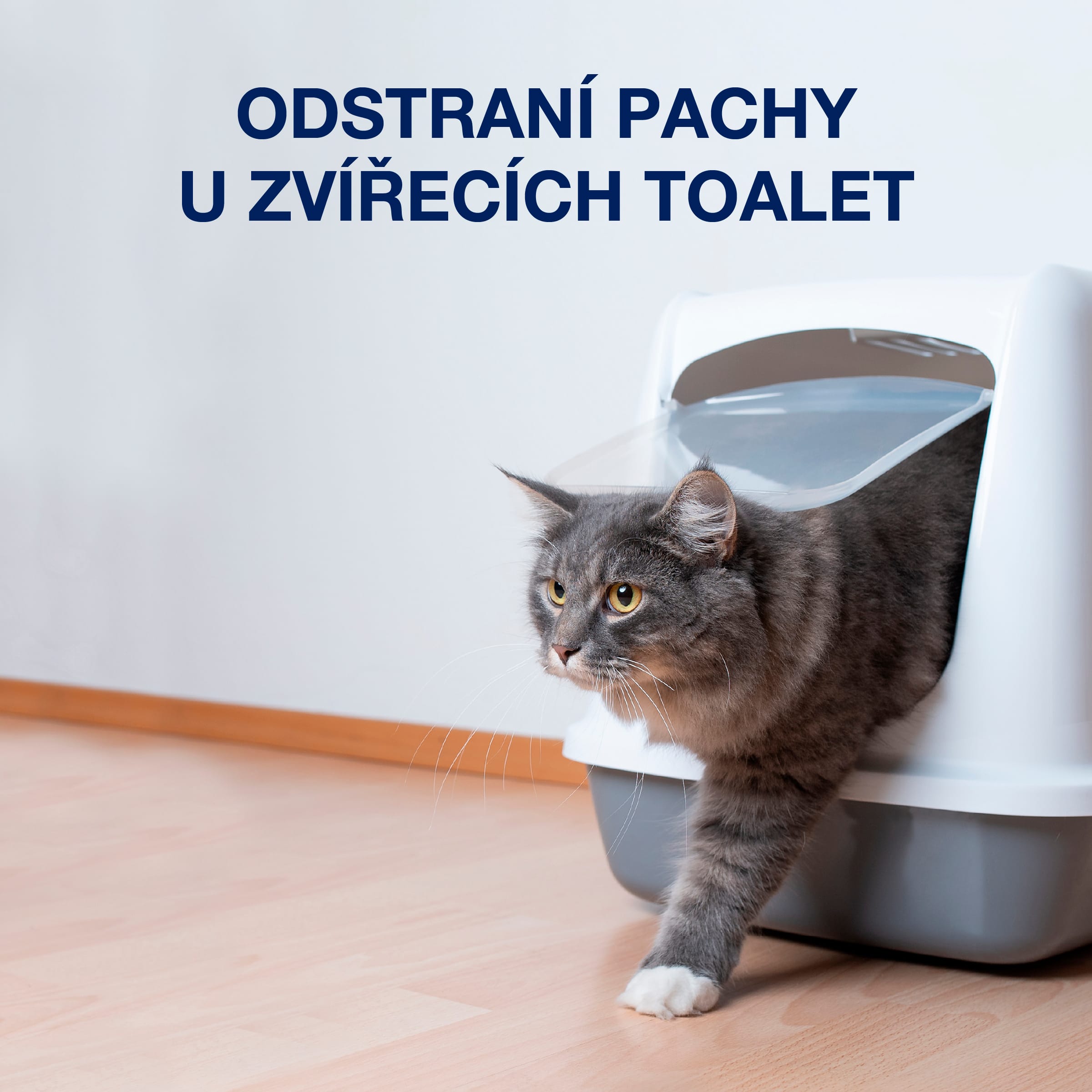 CZ - Carousel_PetSystem_trigger_Wood_Litterbox Text