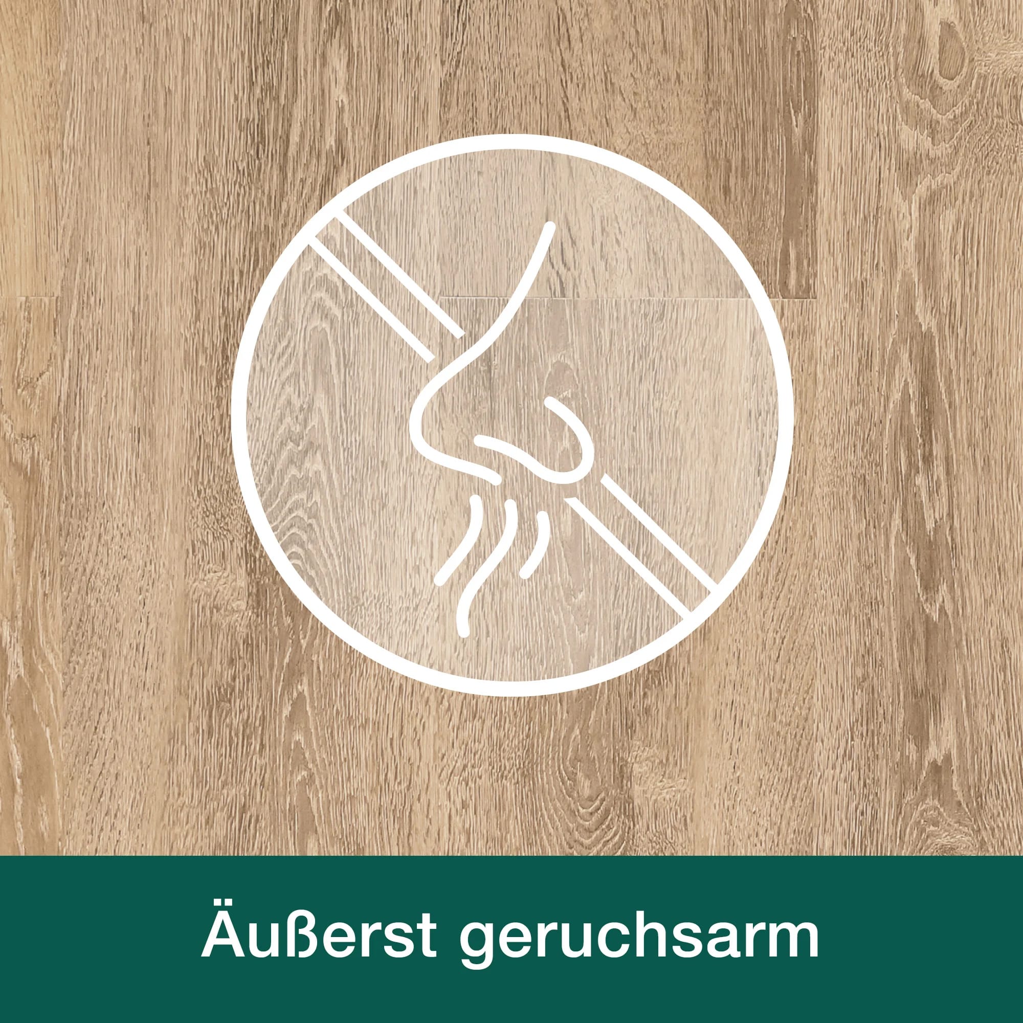 Grundierung_Geruchsarm.jpg