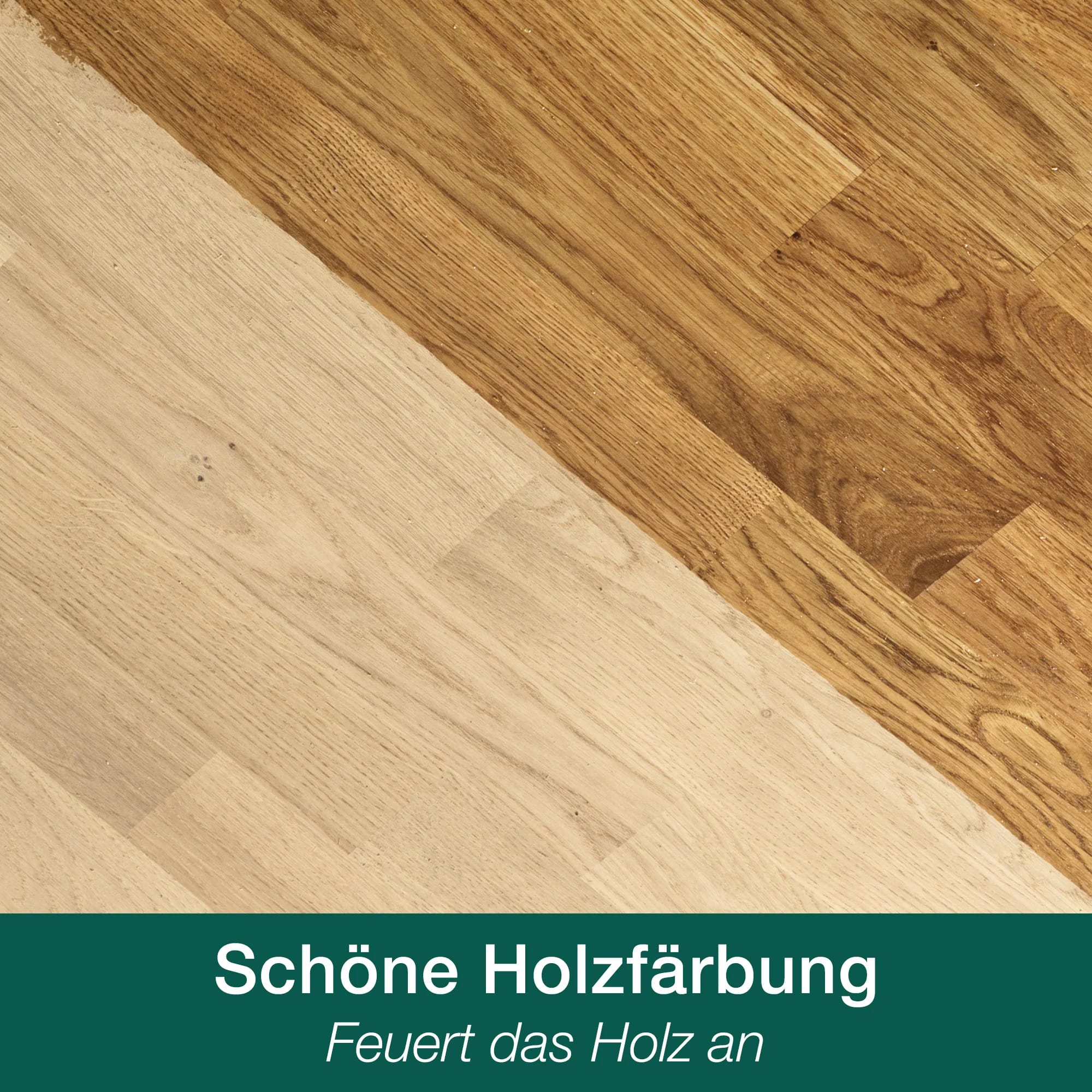 Grundierung_Schoene_Holzfaerbung.jpg