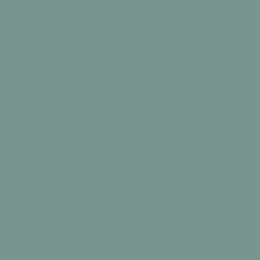 Forest Slate colour swatch