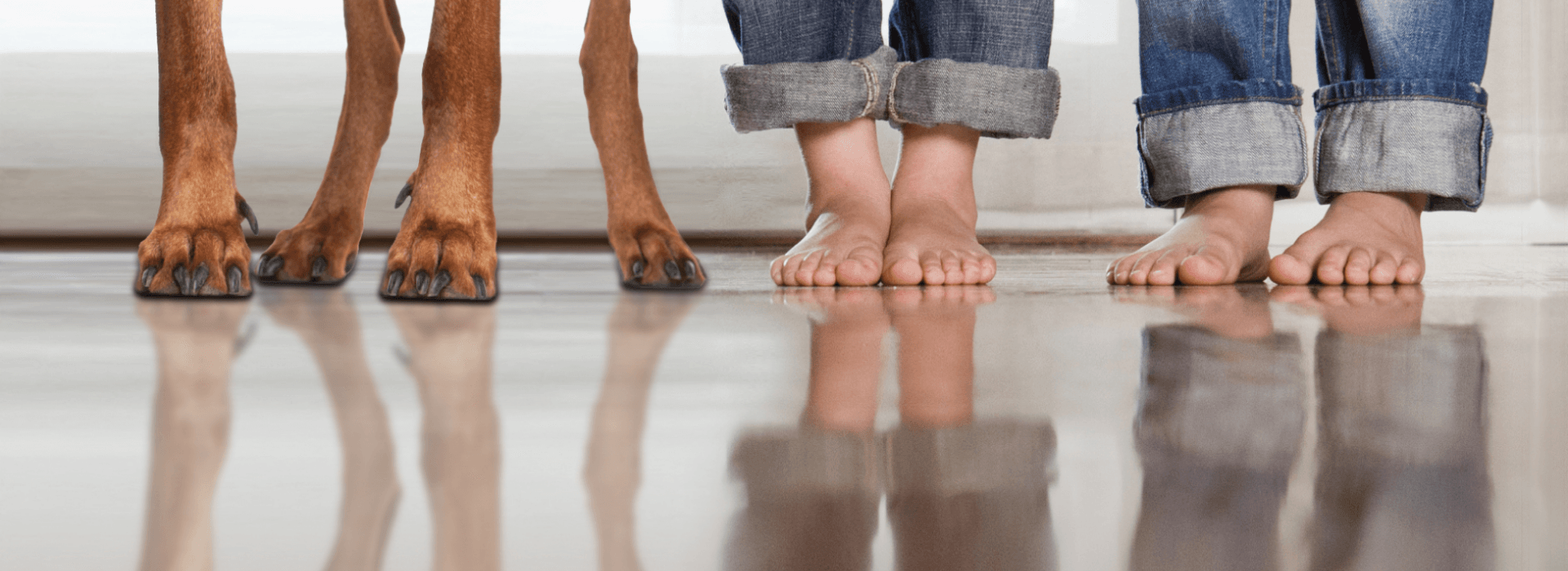 A dog and two bare-footed children in cuffed jeans are standing on a spotlessly clean hardwood floor.