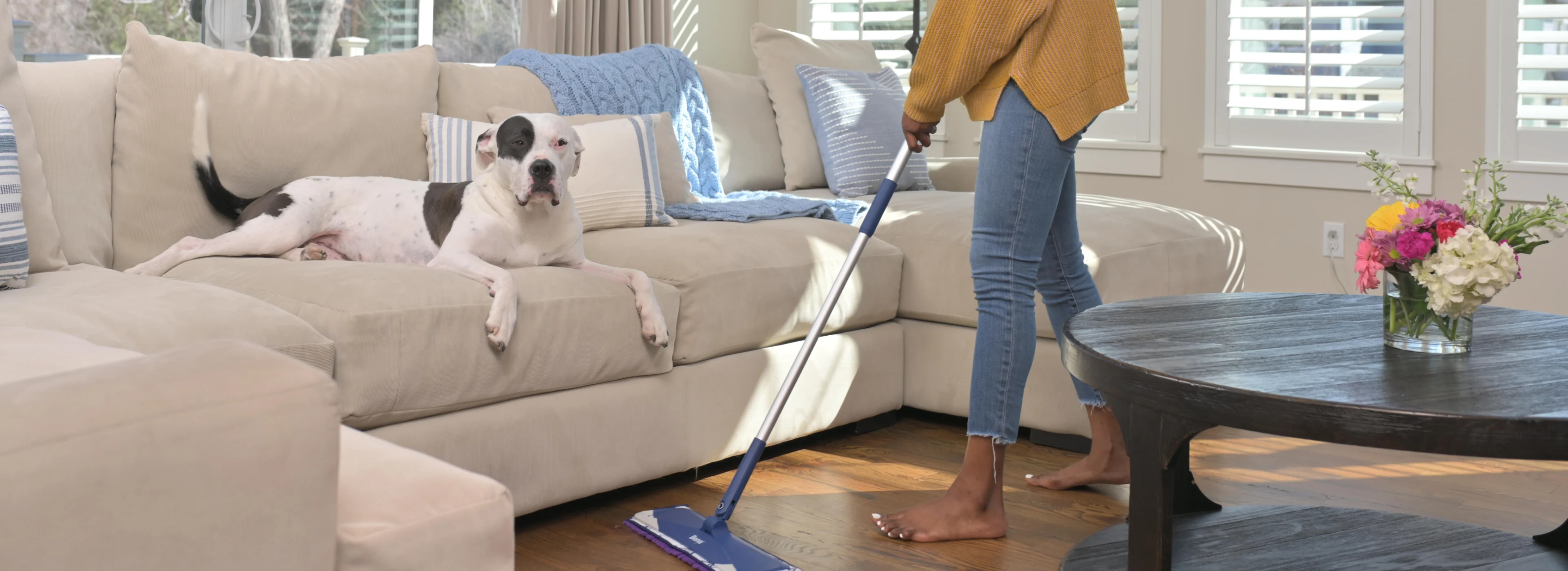 (Top 5 Tips for Cleaning Floors in Homes with Pets)-Hero-2x.png