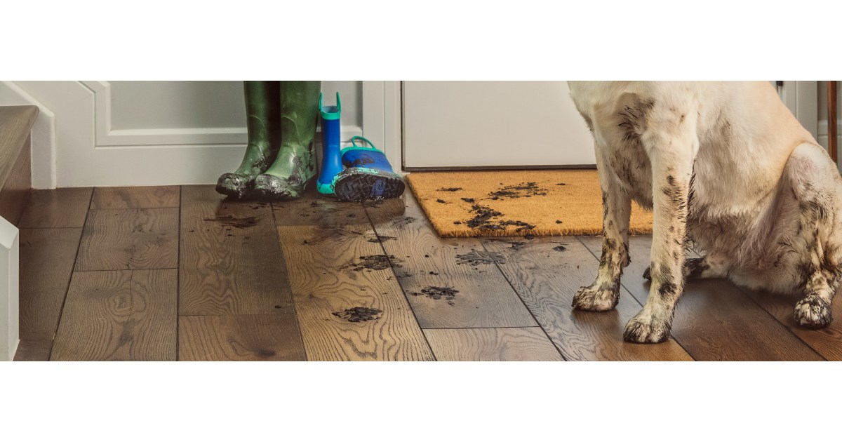Muddy footprints on wood floor