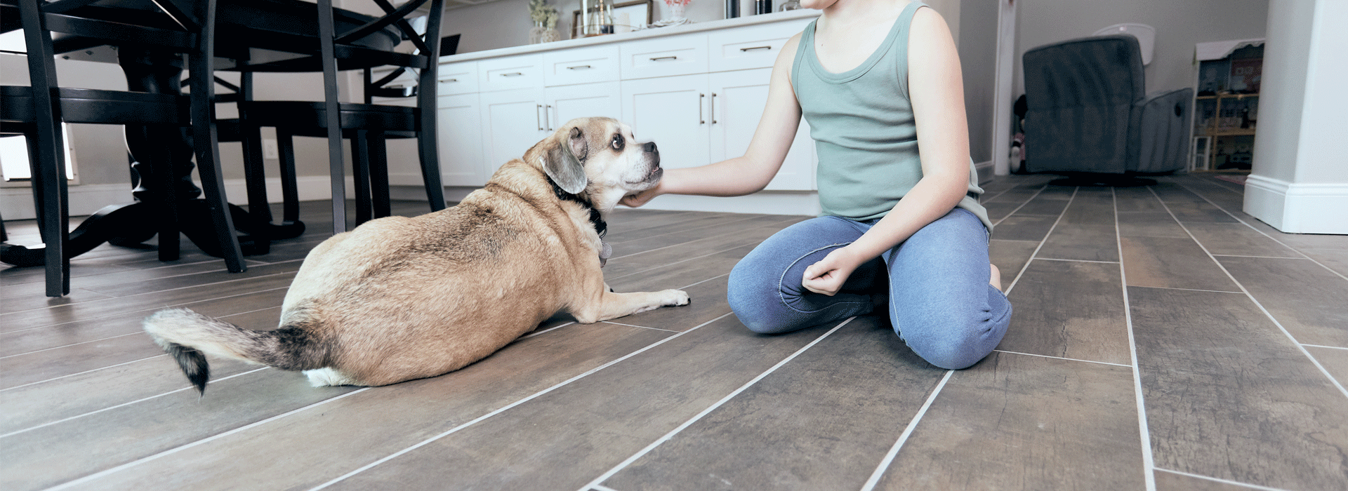 Will Dogs Scratch Laminate Flooring