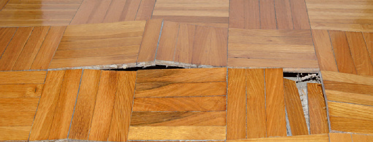 Fix Warped Hardwood Floor Floor Roma fix-warped-hardwood-floor-floor-roma