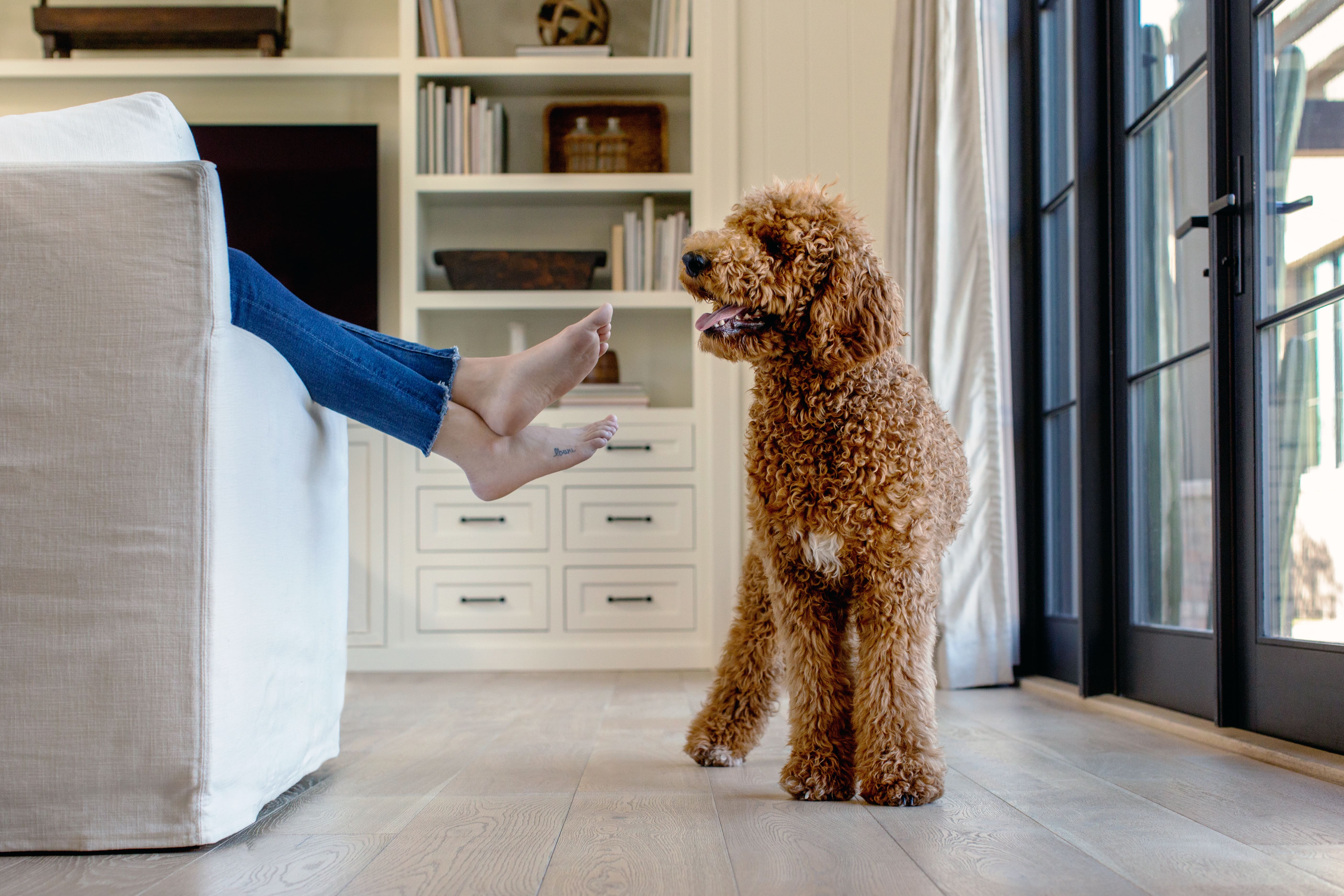 Preventing Scratches On Hardwood Floors