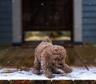 Winter Deep Clean