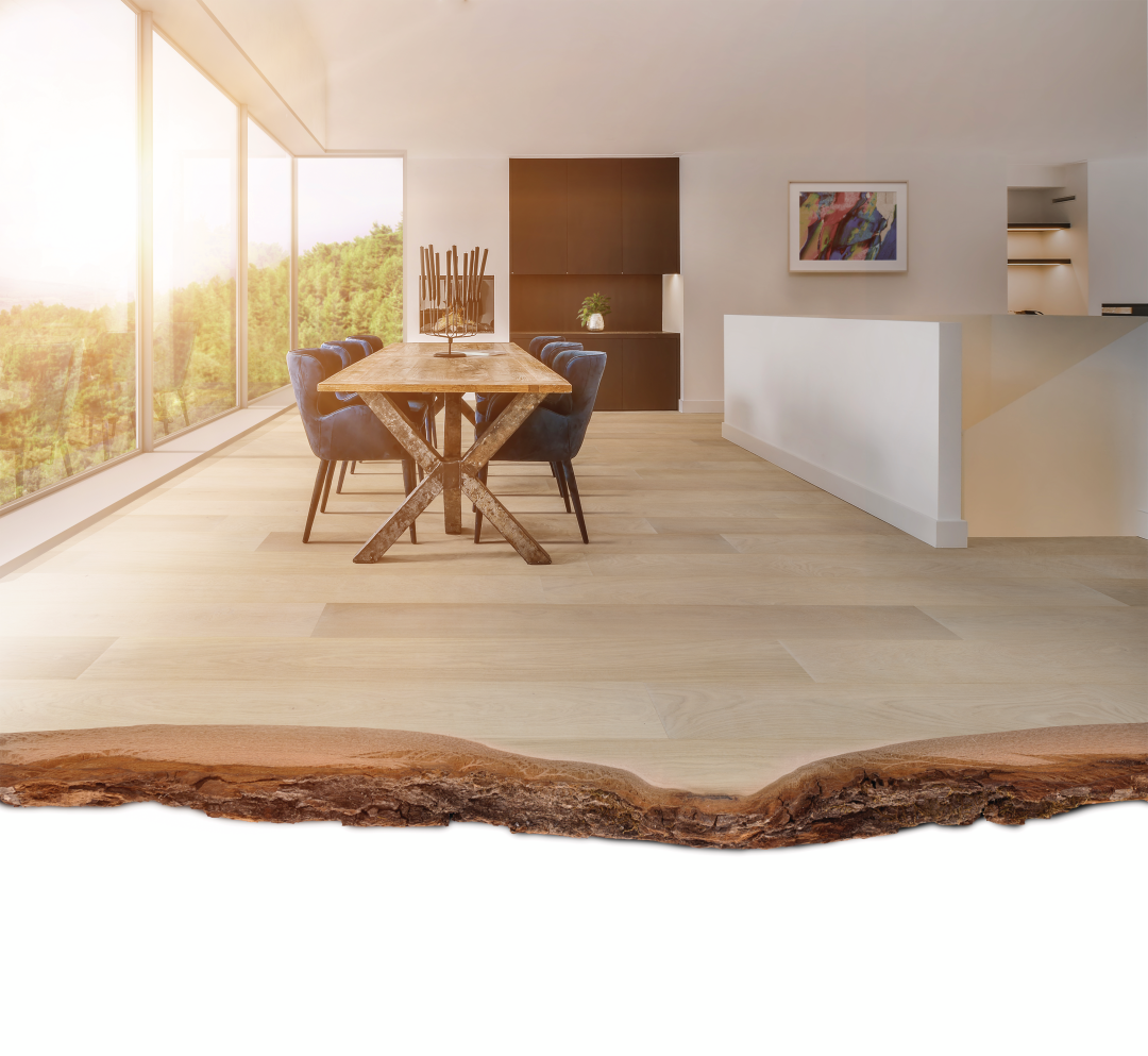 Bona Traffic HD RAW® (WT194818001)